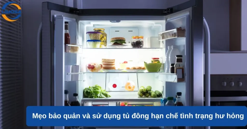 Mẹo bảo quản và sử dụng tủ đông hạn chế tình trạng hư hỏng