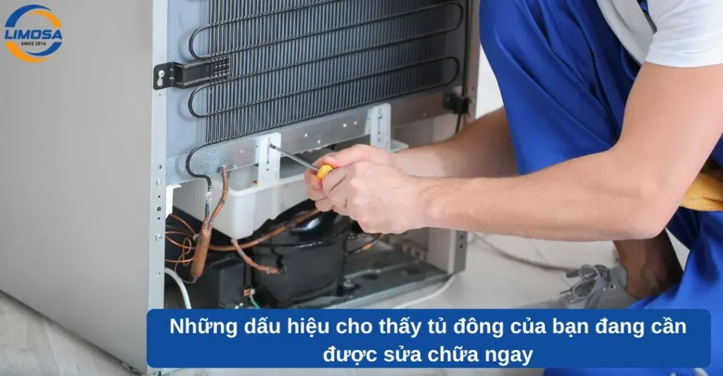 Những dấu hiệu cho thấy tủ đông của bạn đang cần được sửa chữa