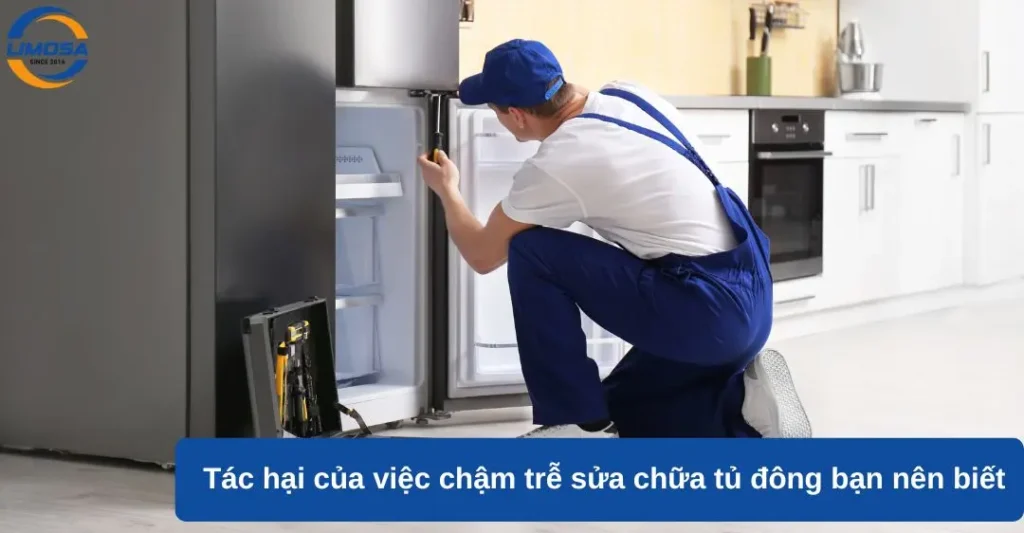 Tác hại của việc chậm trễ sửa chữa tủ lạnh bạn nên biết